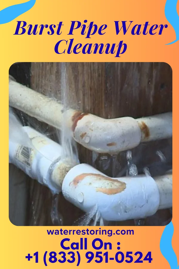 Burst Pipe Water Cleanup in Onsted, MI