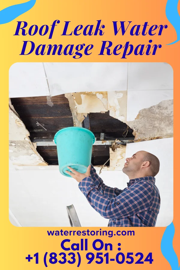 Roof Leak Water Damage Repair in Onsted, MI
